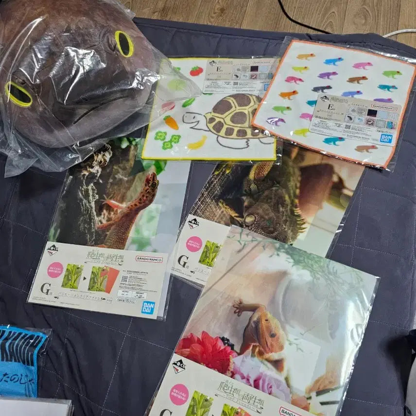 [BUNJANG] Tiny Friends Plush Cushion & Clear File Bundle / 파충류 1탄(제일복권, 이치방쿠지)C상 플러시 쿠 션, G상 일괄