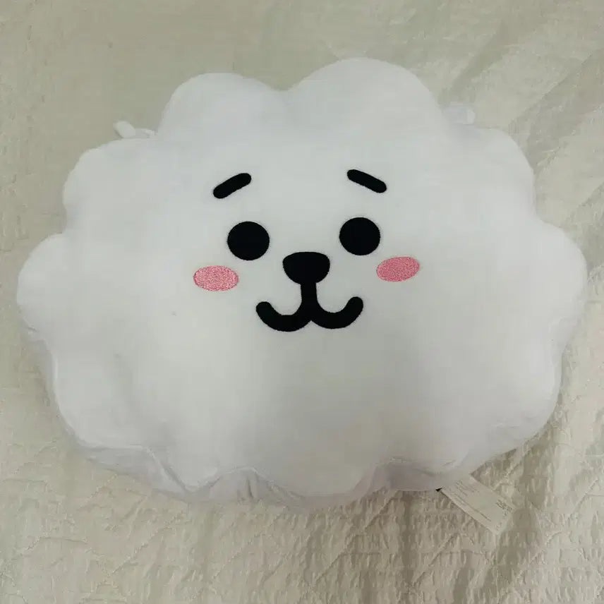 [BUNJANG] BTS BT21 RJ Face Plush (30cm) / 방탄소년단 BTS BT21 RJ 얼굴인형 (30cm)