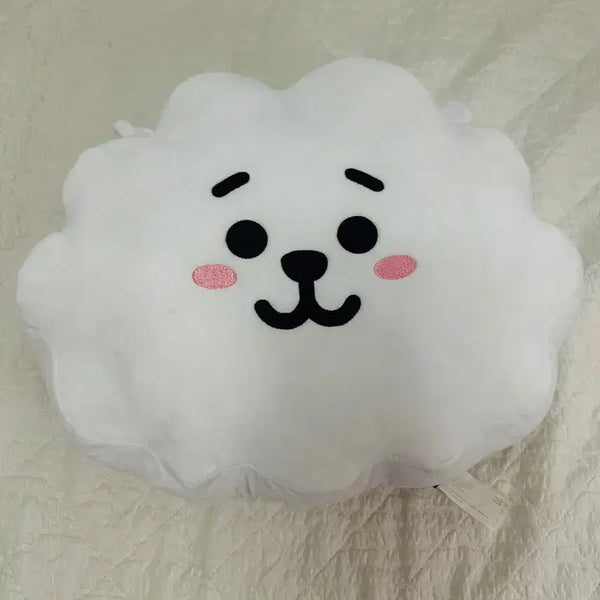[BUNJANG] BTS BT21 RJ Face Plush (30cm) / 방탄소년단 BTS BT21 RJ 얼굴인형 (30cm)