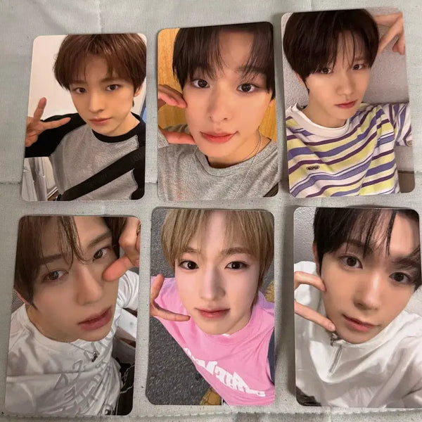 [BUNJANG] NCT WISH Apple Music Fansign POB Photocard Sion Riku Yushi Jaehee Ryo Sakuya / 엔시티위시 애플뮤직 영통 팬싸 미공포 포카 양도 시온 리쿠 유우시 재희 료 사쿠야