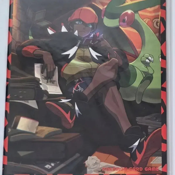 [BUNJANG] Pokemon Goldy's Indomitable Card Album Binder / 포켓몬 금랑의 불굴 카드앨범 바인더
