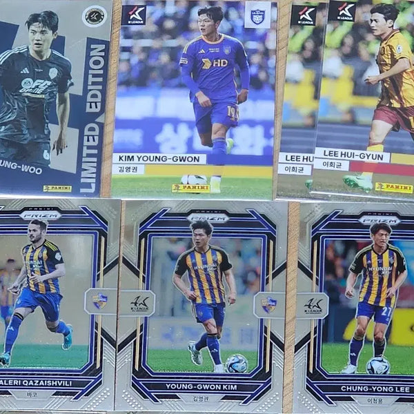 [BUNJANG] Panini K League Trading Cards / k리그 파니니 카드 처분