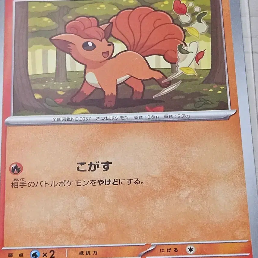 [BUNJANG] Pokemon Card Ninetales Japanese Single / 포켓몬카드 식스테일 일판