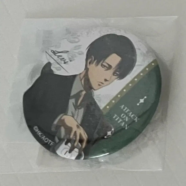 [BUNJANG] Attack on Titan Levi Badge / 진격의거인 리바이 뱃지