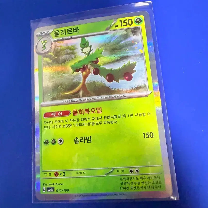 [BUNJANG] Pokemon Card Ursaluna Holo / 포켓몬카드 올리르바 홀로 카드