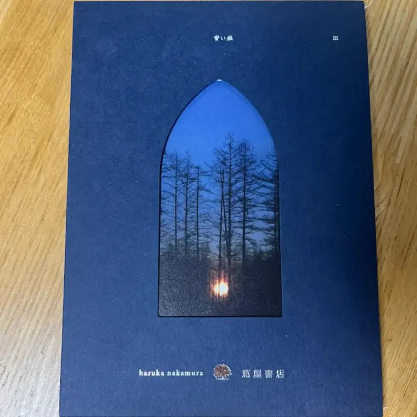 [BUNJANG] Haruka Nakamura Blue Forest CD / 하루카나카무라 푸른숲 cd