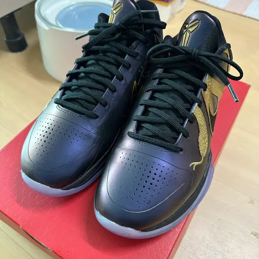 [BUNJANG] Nike Kobe 5 Protro "Mamba" Eggplant Sneakers / 코비5 프로트로