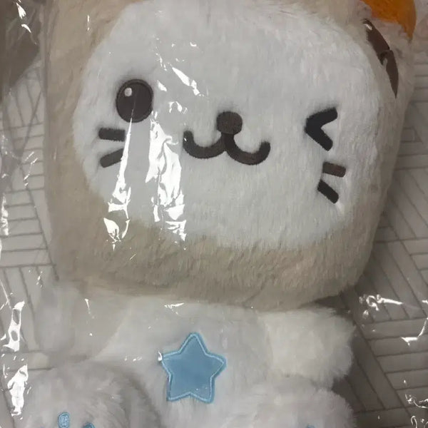 [BUNJANG] NCT WISH Yushi Bubble Cat 30cm Plush / 가격내림)엔시티위시 유우시 버블냥 30cm