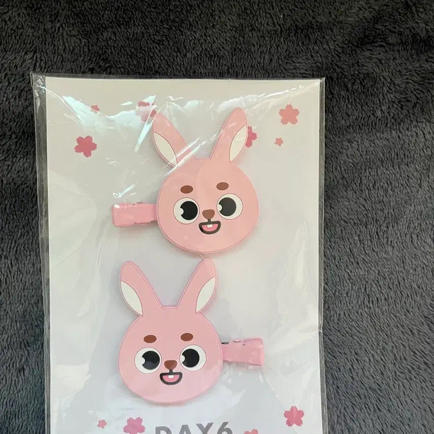 [BUNJANG] DAY6 Wonpil Hairpin / 요코하마 원필 헤어핀 /필끼 헤어핀