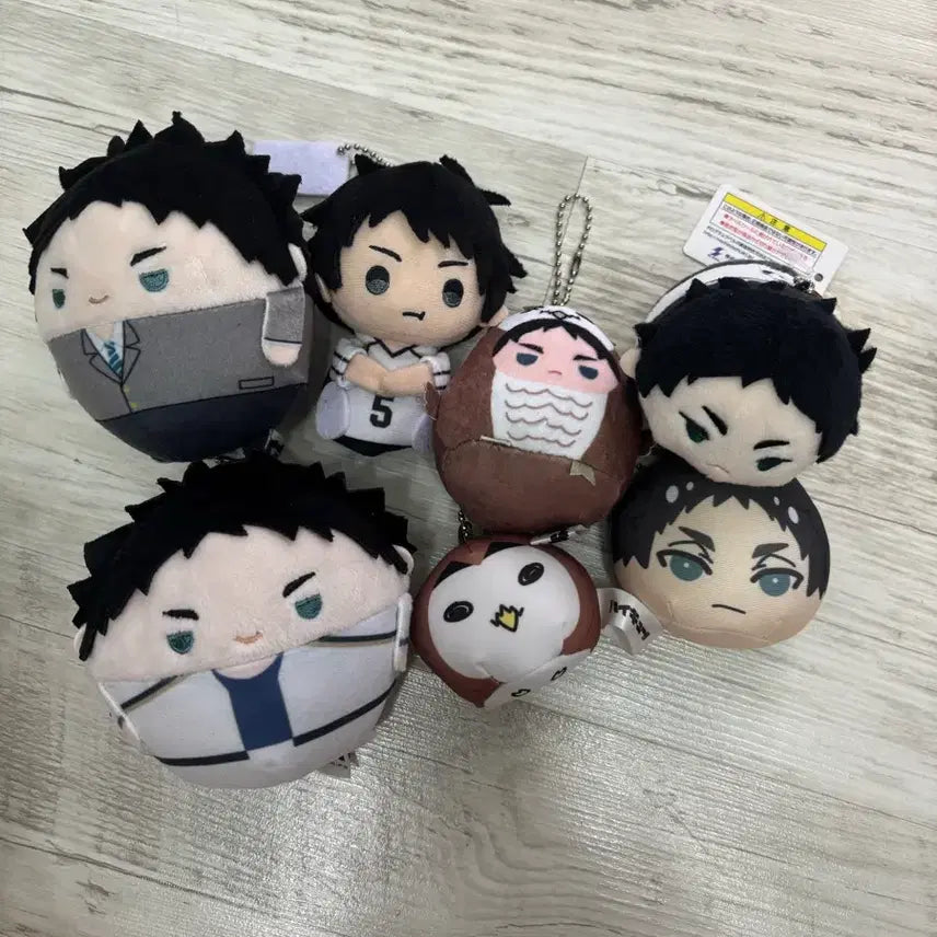 [BUNJANG] Akaashi Plush / 아카아시 누이
