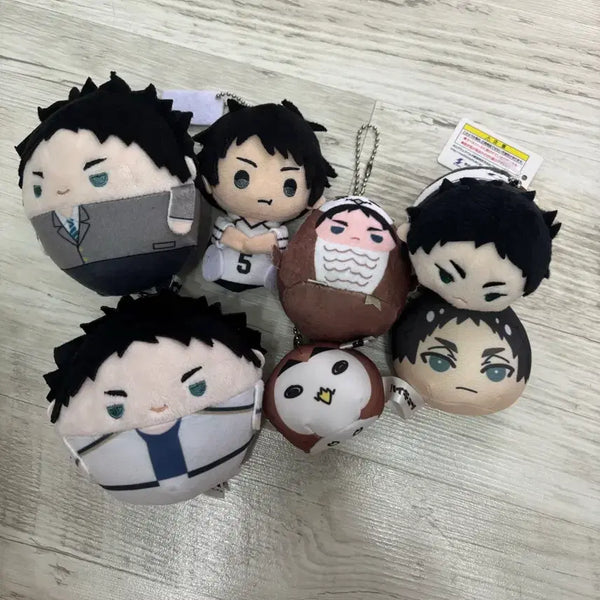 [BUNJANG] Akaashi Plush / 아카아시 누이