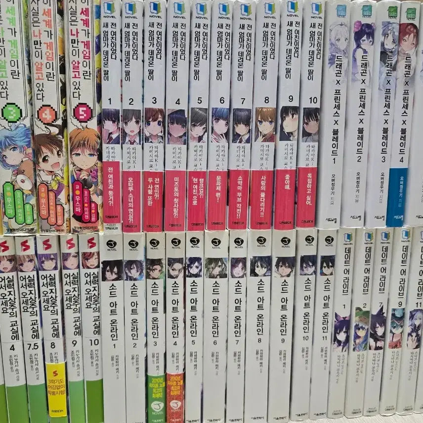 [BUNJANG] Assorted Light Novels - Sword Art Online, Shield Hero, and More / 라이트노벨 다수 판매합니다 소아온 방패용사 등