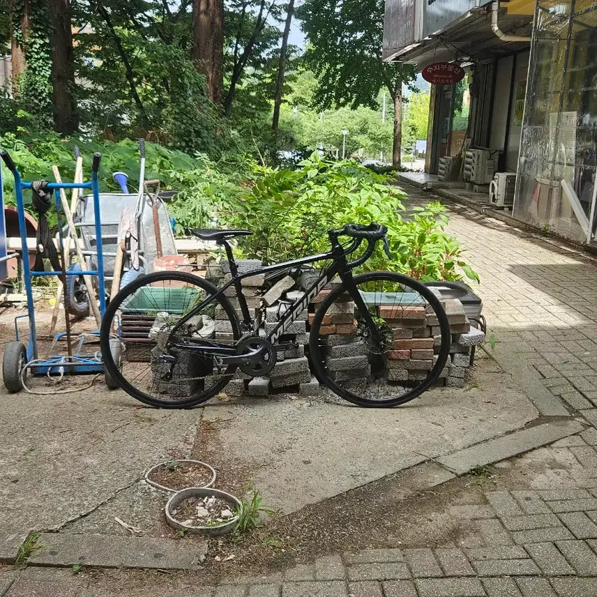 [BUNJANG] Merida Scultura 100 Road Bike / 메리다 스컬트라100