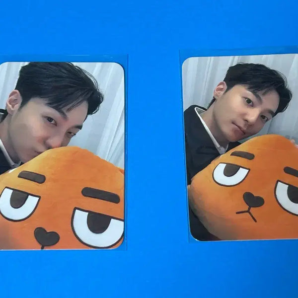 [BUNJANG] Roy Kim Rocks Body Pillow Photocard Bundle Set / 로이킴 록스 바디필로우 포카