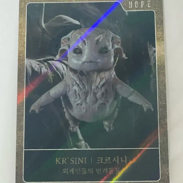 [BUNJANG] Hoff Trading Card Krushni / 호프 트레이딩 카드 크르시니 양도