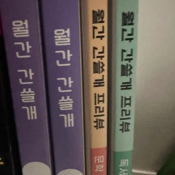 [BUNJANG] IGAM Ganseulgae Monthly Magazine Bundle Set / 이감 간쓸개 월간지 급처