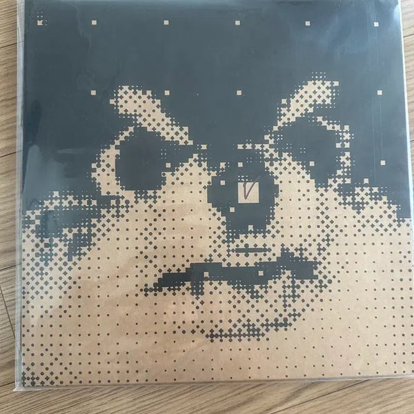 [BUNJANG] BTS V LP Sealed / 방탄소년단 뷔 lp 미개봉