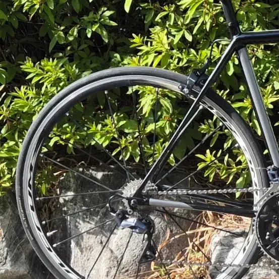 [BUNJANG] Fulcrum Racing Zero Rear Wheel / 펄크럼 레이싱 제로 리어휠