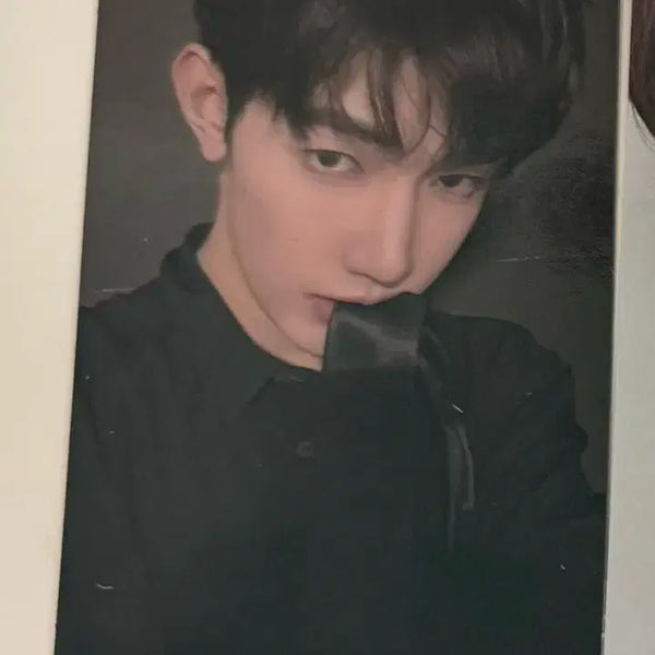[BUNJANG] ZB1 Zhang Hao M2U Photocard / 앤더블 장하오 물었타이 포카 엠투유 엠투유레코드