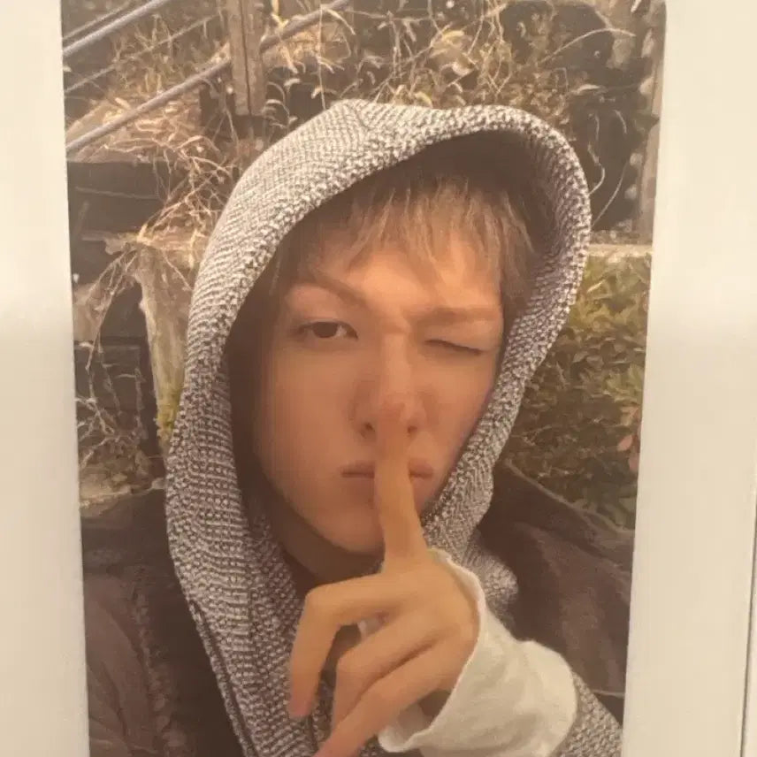 [BUNJANG] Corthys Martin Photocard / 코르티스 마틴 포카