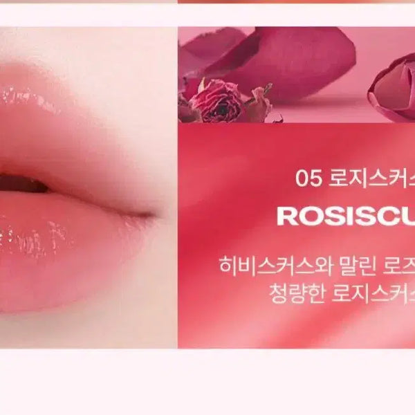 [BUNJANG] Alternative Stereo 05 Logiscarus Lip Potion Honey Tea Stain (New) / 얼터너티브스테레오 05 로지스커스 립 포션 허니 티 스테인 (새상품)