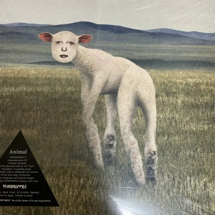 [BUNJANG] Thornapple Animal LP (Sealed) / 쏜애플 동물 lp 미개봉