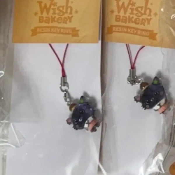 [BUNJANG] Wish Bakery Kuri Wish Resin Keychain / Wish Bakery 레진 키링 쿠리 위시 리쿠 엔시티위시