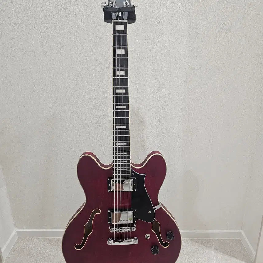 [BUNJANG] HEX Q300 Semi-Hollow Electric Guitar Mint Condition / 헥스 Q300 세미할로우 기타 판매 민트급