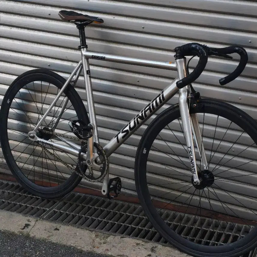 [BUNJANG] Tsunami SNM100 Classic Pixie Silver Bicycle Frame / 판완판완판완
