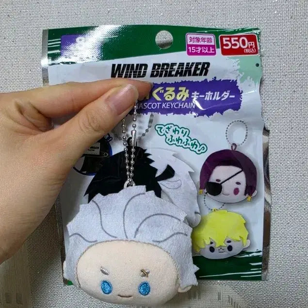 [BUNJANG] Daiso Umemiya Nuigurumi Keyring / 윈브레 우메미야 다이소 누이구루미 키링 판매합니다!