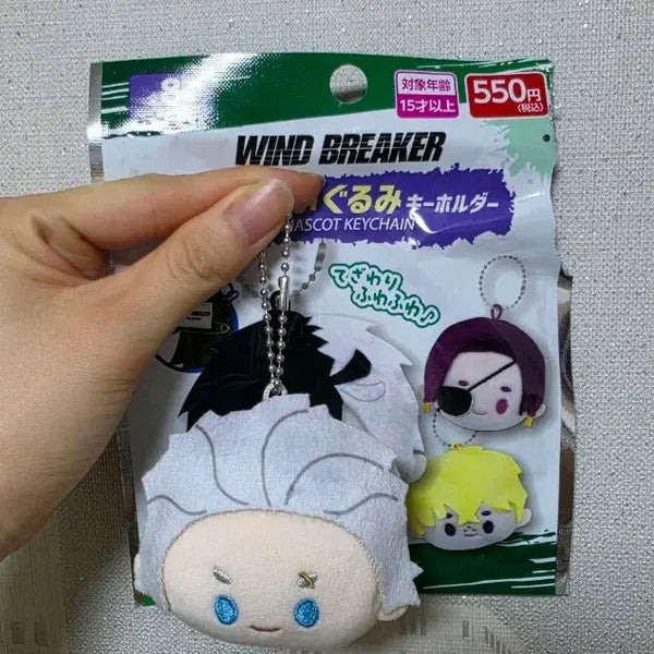 [BUNJANG] Daiso Umemiya Nuigurumi Keyring / 윈브레 우메미야 다이소 누이구루미 키링 판매합니다!