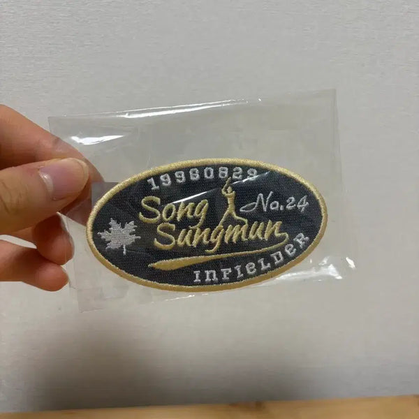 [BUNJANG] Seongmun Song Player Patch / 송성문 플레이어 패치