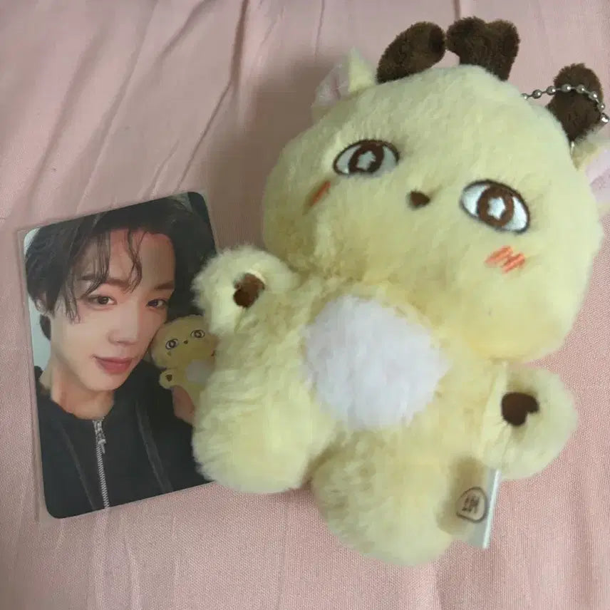 [BUNJANG] SoSimi Doll Photocard / 소심이 인형 포카 팔아여