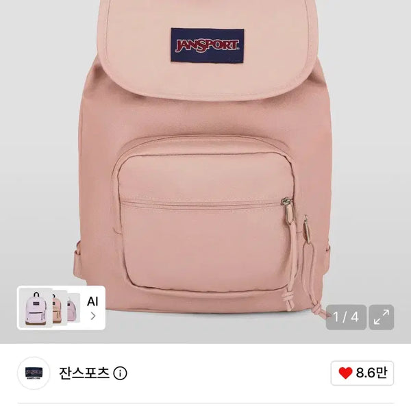 [BUNJANG] JanSport Highland Misty Rose Backpack / 잔스포츠 하이랜드 미스티로즈