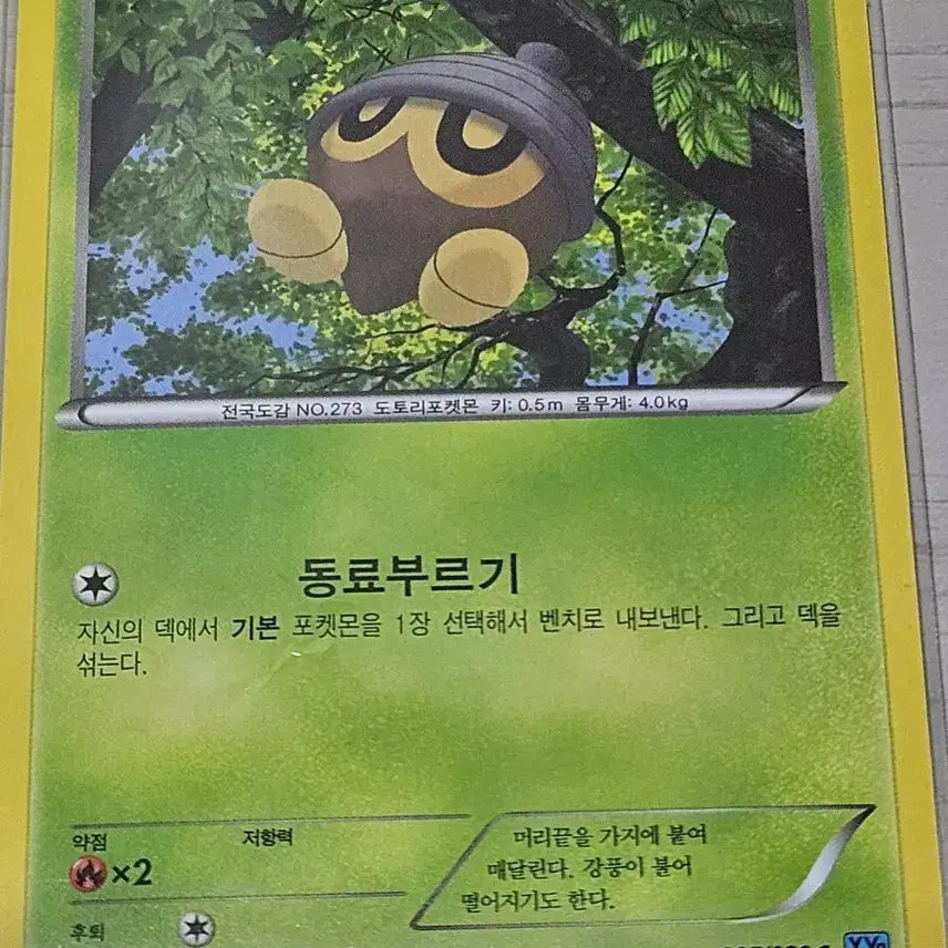 [BUNJANG] Pokemon Card Dottler 005/080 C / 포켓몬카드 도토링 005/080 C