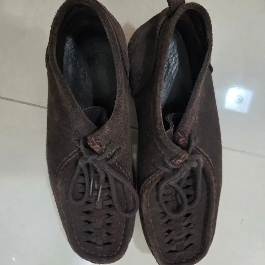[BUNJANG] Polilteru Wallaby Brown Size 3 (First Edition) / 폴리테루 왈라비 브라운 3사이즈(초판)