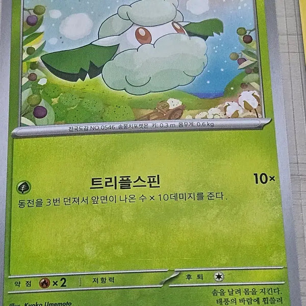 [BUNJANG] Pokemon Card Somian / 포켓몬카드 소미안