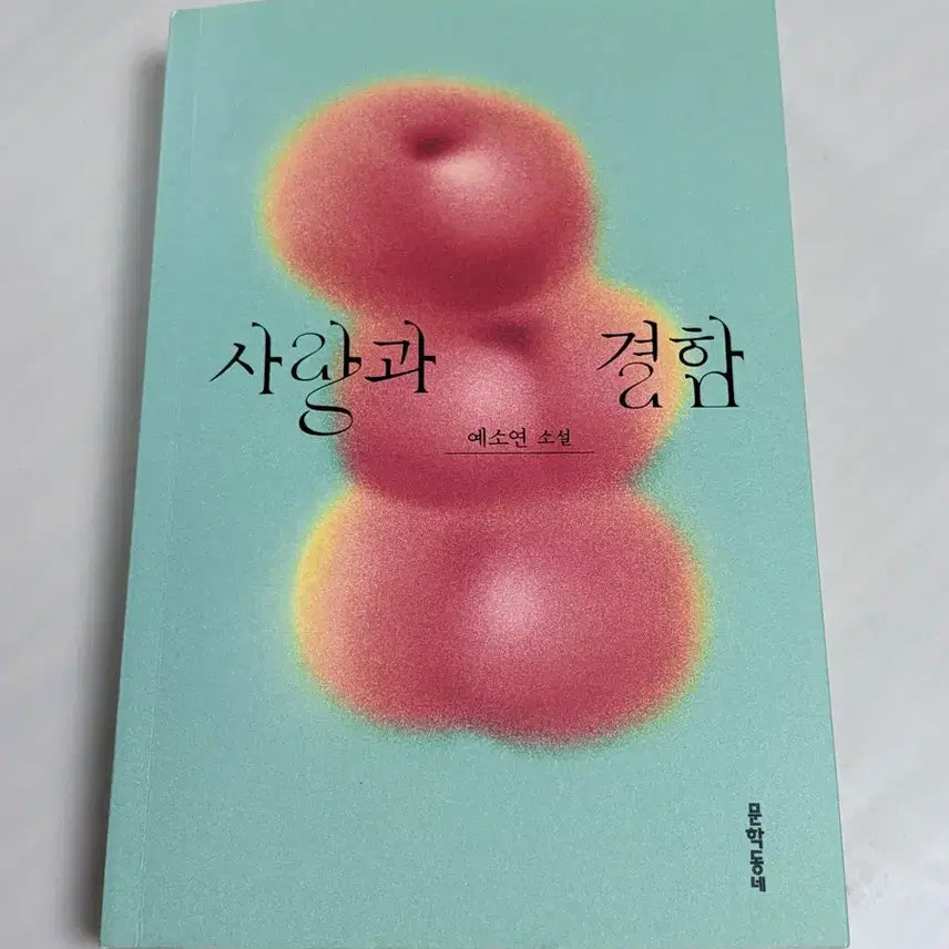 [BUNJANG] Love and Flaws Novel / 소설 [사랑과 결함]