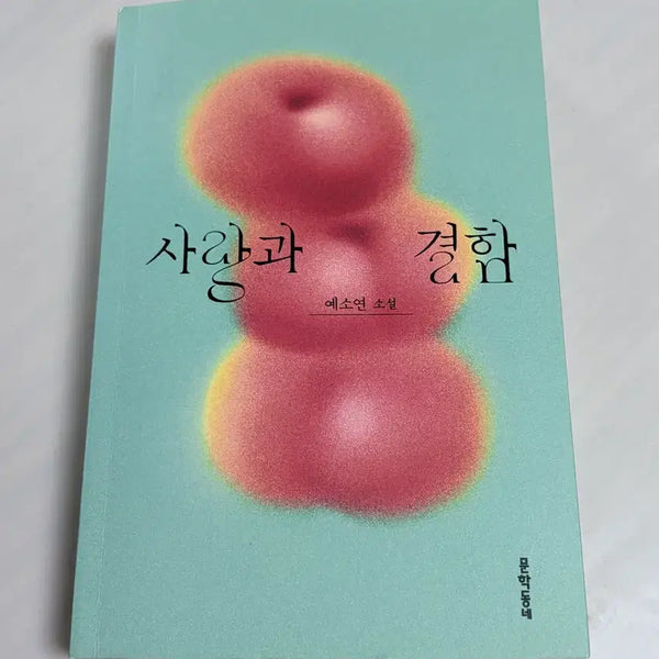 [BUNJANG] Love and Flaws Novel / 소설 [사랑과 결함]