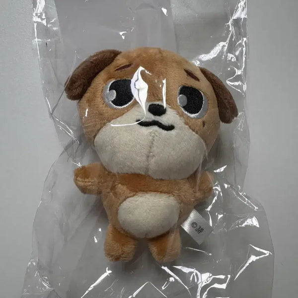 [BUNJANG] DAY6 Japan MD Bai Charm / DAY6 일본MD 백참 돈