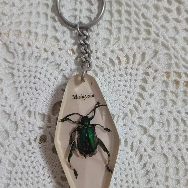 [BUNJANG] Real Insect Keychain - Real Insect Specimen in Resin / 말레이시아 리얼 곤충 키링 / 수집품 ( 취미 )
