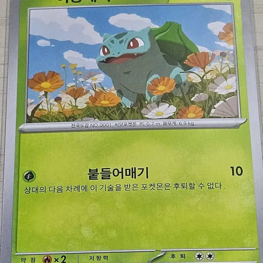 [BUNJANG] Pokemon Card Bulbasaur / 포켓몬카드 이상해씨