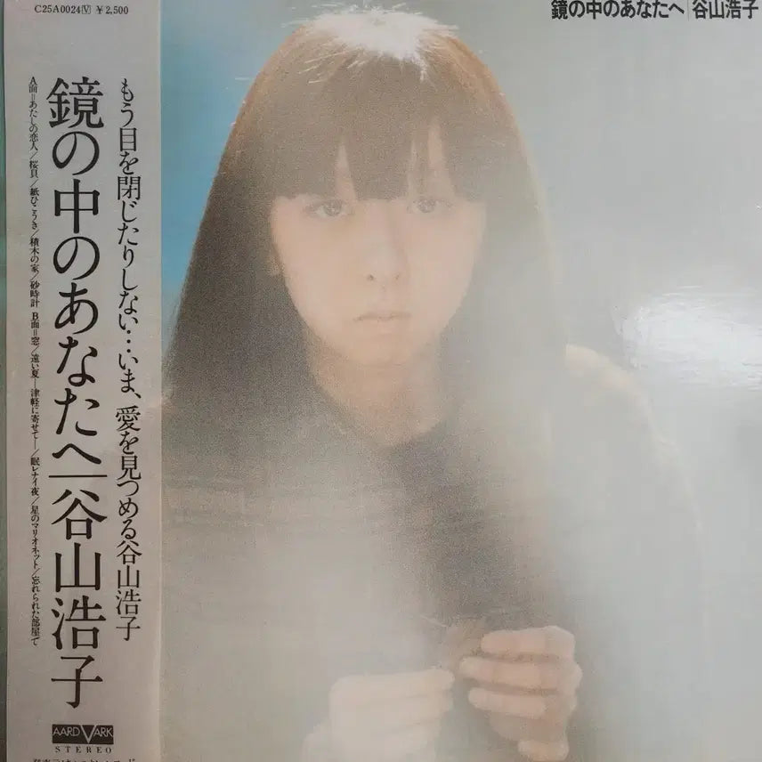 [BUNJANG] Hiroko Taniyama Mirror Reflection Folk LP / 추천 타니야마 히로코Hiroko Taniyama LP