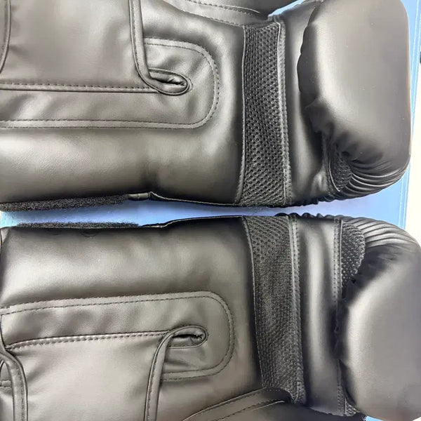 [BUNJANG] 14oz Boxing Gloves / 14온즈 글러브 팝니다