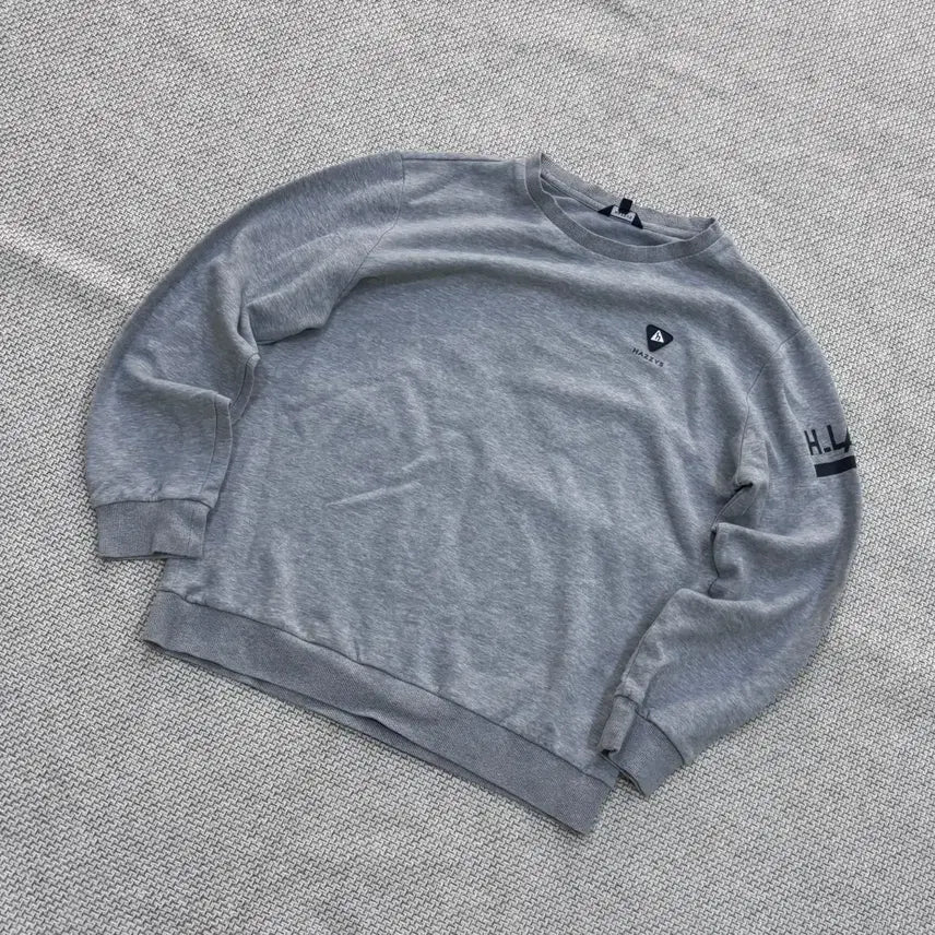 [BUNJANG] Hazzys Men's Lettering Sweatshirt T-Shirt / 100 헤지스 남성 레터링 맨투맨 티셔츠 0720E