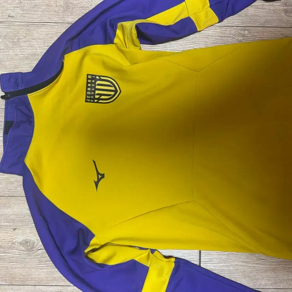 [BUNJANG] Jeonnam Dragons Mizuno Zip-Up Jacket (Size L) / 전남드래곤즈 집업