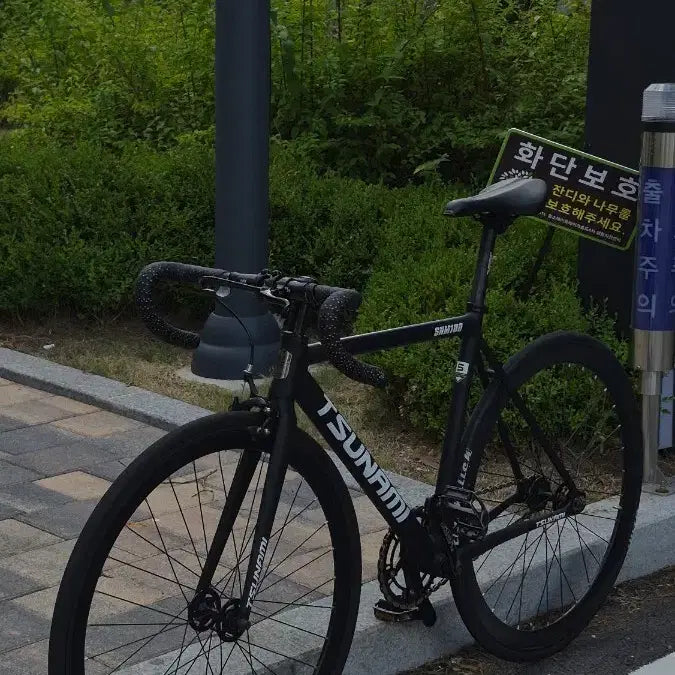 [BUNJANG] Tsunami SNM100 Bicycle Frame Set / 쓰나미 snm100 판/대 개급처