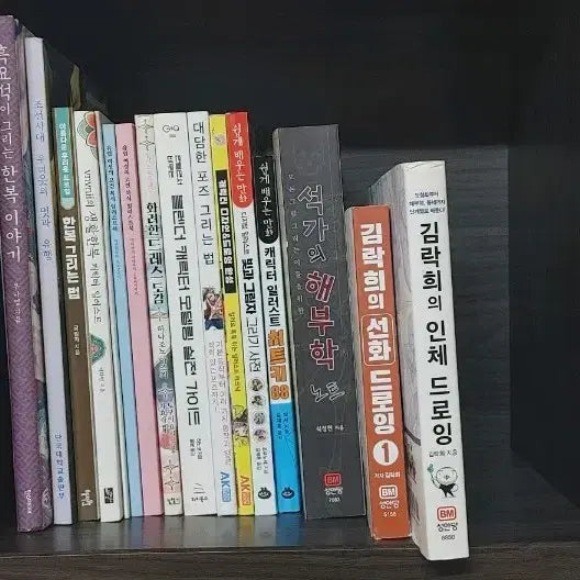 [BUNJANG] Various Drawing Art Instruction Books / 각종 드로잉 관련 작법서들