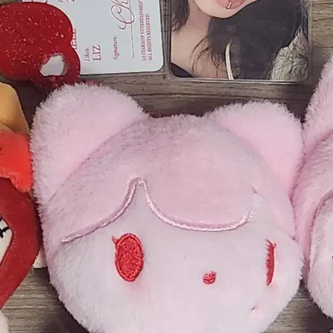 [BUNJANG] ABUBB LIZ Cheese Photocard / 아부부 리즈 치즈