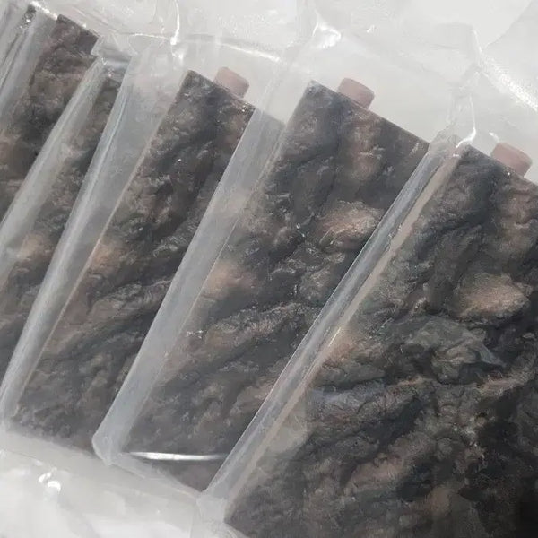[BUNJANG] Biology Encyclopedia: Supi Base Set (8 Units) / 생물대도감 수피 8개